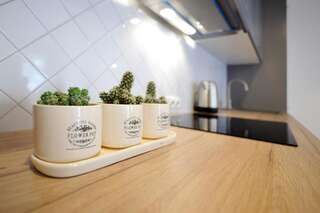 Апартаменты Host Lovers Old Town Каунас Апартаменты - 1-й этаж-32