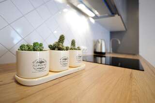 Апартаменты Host Lovers Old Town Каунас Апартаменты - 1-й этаж-6