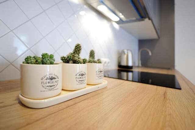 Апартаменты Host Lovers Old Town Каунас-34